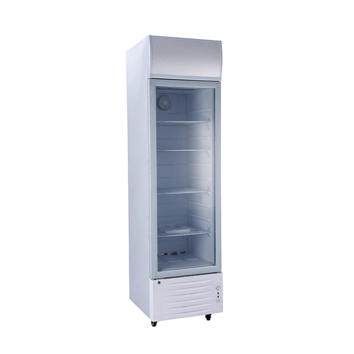 Single Door Normal10v~50vdcupright Cooler LC-218 manufacturers Single Door Normal10v~50vdcupright Cooler LC-218 manufacturers